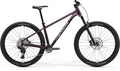 Big Trail 600