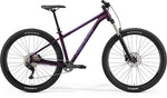 Big Trail 400 - Purple - MY22/23