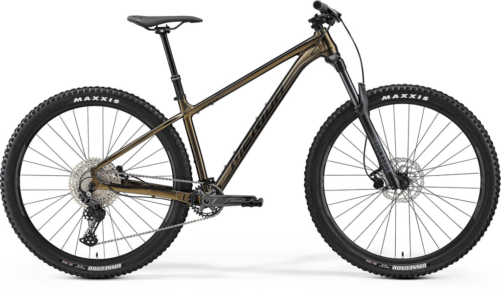 Big Trail 500 Gold MY22 23 Scanlon Cycles