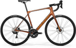 Scultura Endurance 4000 - Bronze/Silver